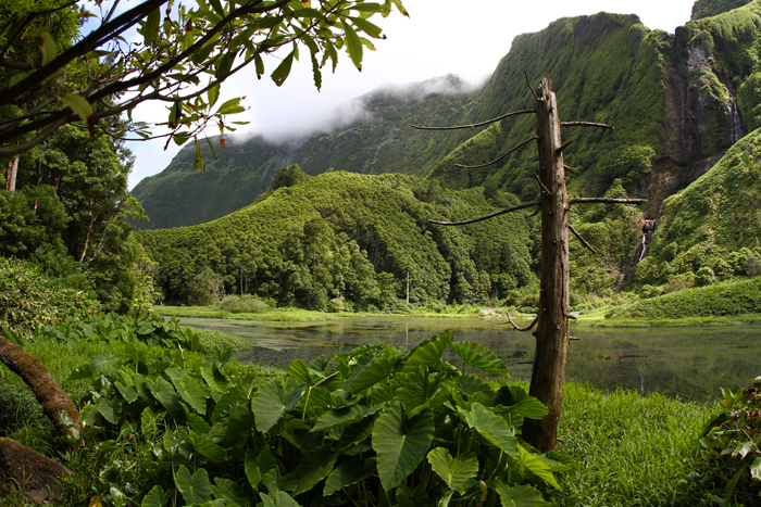 paysage-des-acores